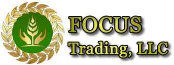 Focus Trading